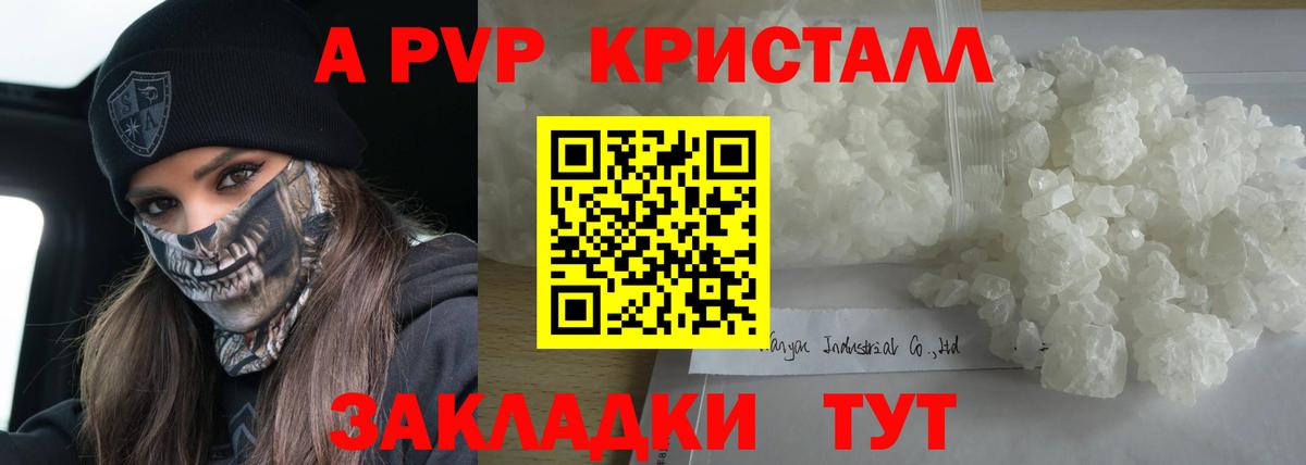 Альфа ПВП СК Орёл