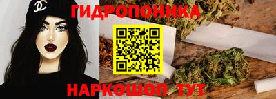гашик Свободный